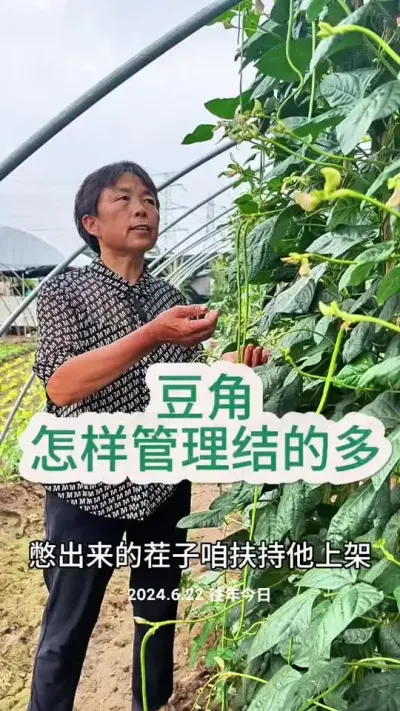 ���ǹ���С����#��ũ#���ǹ���#�߲�����@DOU+������ @��������С���� @DOU+С����