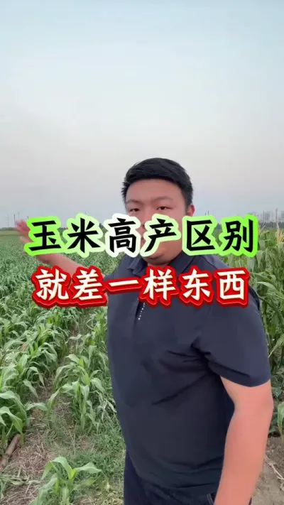 ׸߲Ͳһߣ #ݪֲ # #ݪֲС