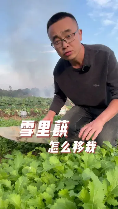 ѩޮô#ֲС #ͥݪֲ #ֲ #ݪֲС #ѧֲ