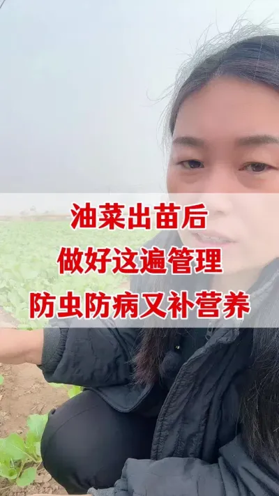 Ͳ󲡳溦#Ͳݪֲ #Ͳ˲溦 #Ͳһ #ũ