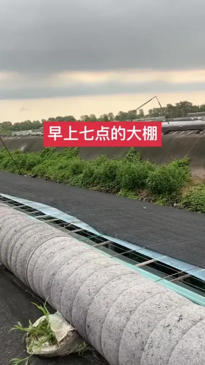 #ݪֲ##¶#ݪֲ @С  ϵķˬ