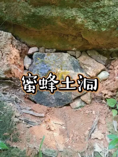 ۷ Ϊ˳Եһ۷#շ #ũ #ҵ