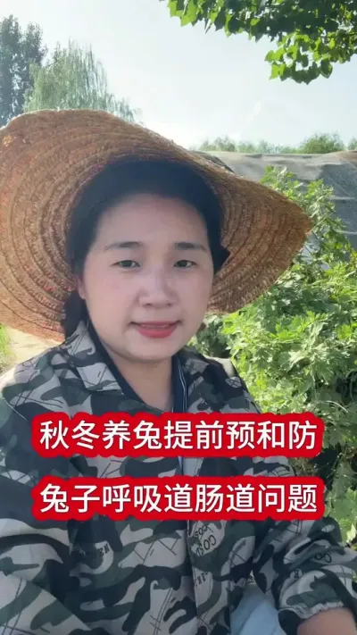 秋冬养兔如何提前预防呼吸道和肠道问题#养兔 #兔子 #养兔人 #兔子养殖