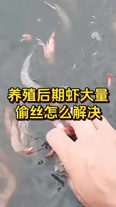 #ĶϺ#οˮ#׶Ϸֳ#θ#׳