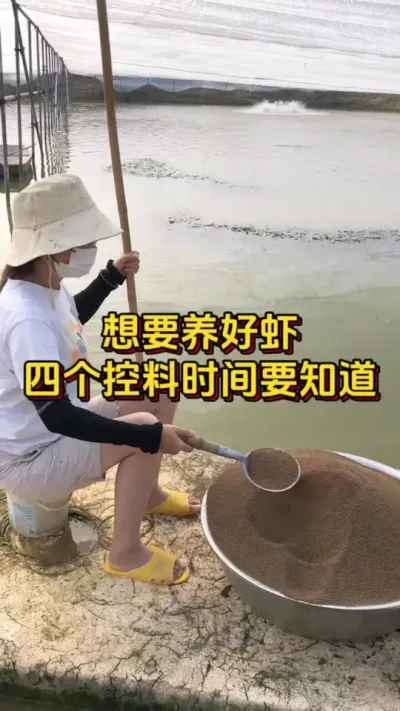 想要养好虾，四个控料时间要知道#对虾养殖 #水产养殖 #南美白对虾 #嘉骏集团 #嘉骏新水产