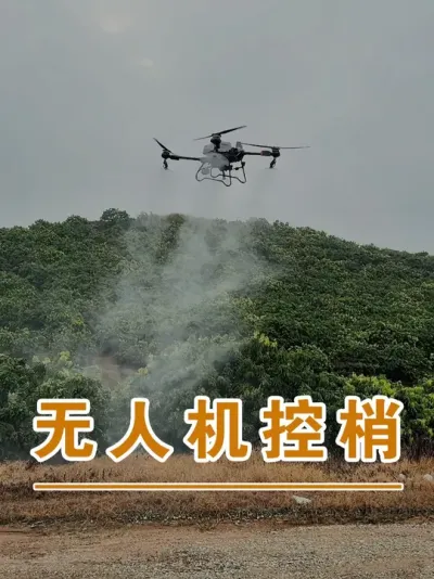 ޺֦ؿ#ɽ֦#ũҵҵ#ũ2025#ֹ#֦ݪֲ@