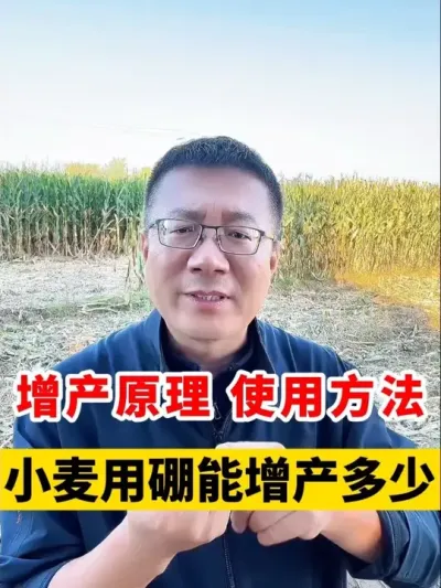 ԭʹҪСһĶܹ #Сݪֲ #Сݪֲ #С߲ # #С߲