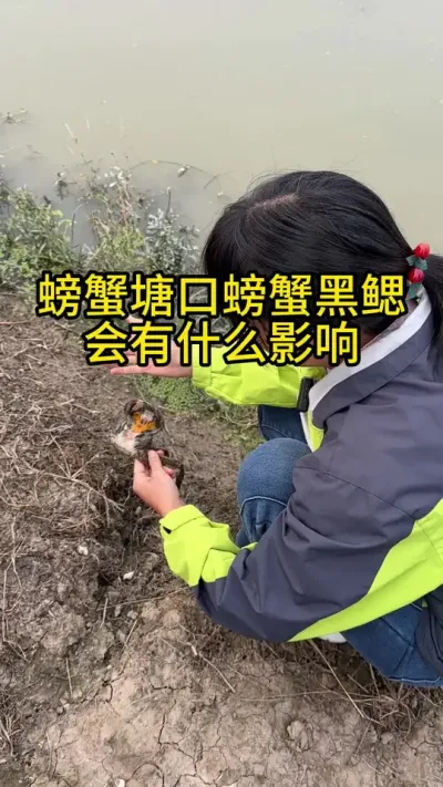 ззʲôӰ #ֳģʽ #ũ #ˮֳ #ũ2025