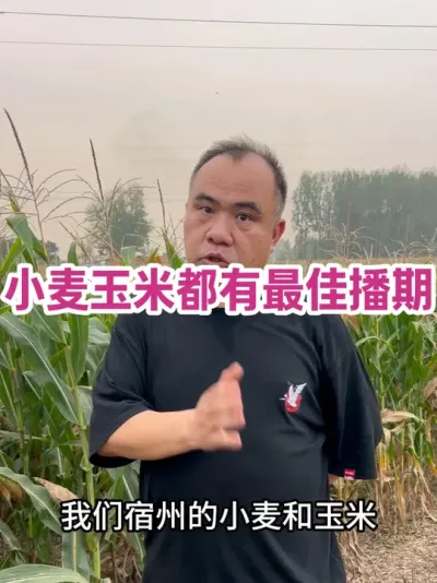 С׶Ѳ ضиصѲ׺С󶼲ءɡҪ粥        ʹ ץջݸ֣#ũҵݪֲ