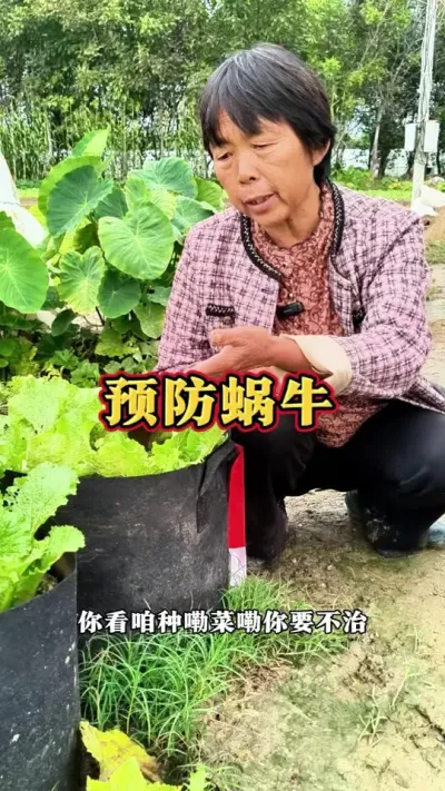 Ĳûбţҧ#ũ #ţ #߲ #ݪֲС @DOU+С @С @DOU+