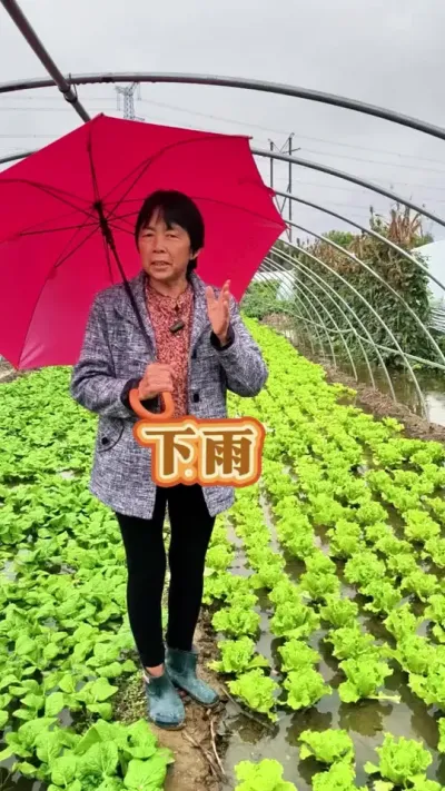 # #ũ #ֲС #߲ #߲ݪֲ @DOU+С @DOU+ @С