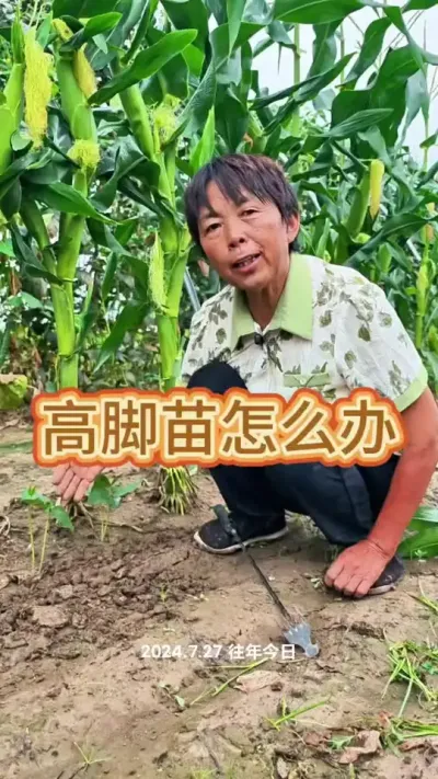 ߽粻Ҫٽˮ𲽾͹ˣ#߽ #ũ #߲ #߲ݪֲ #ݪֲС @DOU+С @С @DOU+