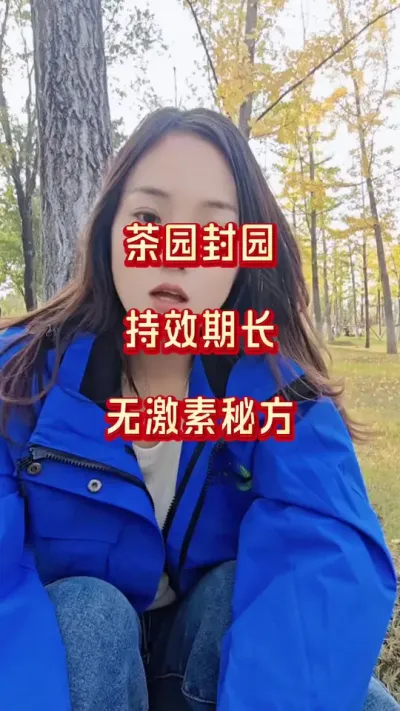 #茶园封园最佳时间 #茶园秋梢生长关键期#冬季茶树封园好处#茶树种植管理