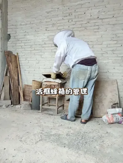 С������ �ҵ�С�����������ȡ��Ҫ��#�۷���ֳ #ũ������ #��ũ������2025