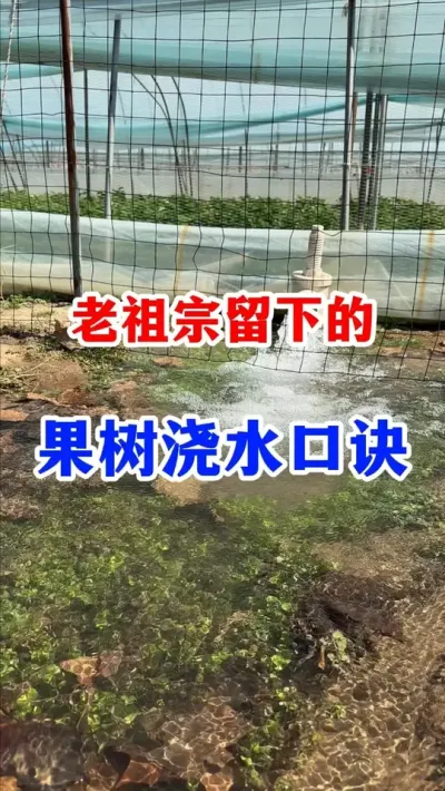 ˮпڴµĽˮھû߲#ݪֲ #԰ #ũҵݪֲ #ݪֲ