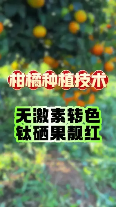 תɫ޼޲˹#ݪֲ #תɫ #ٹ #԰ #ݪֲ