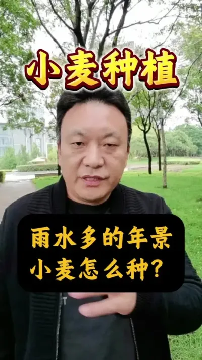 ˮ꾰Сôֲ#Сݪֲ #С