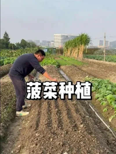 ôݪֲʲôʱֿڸó 