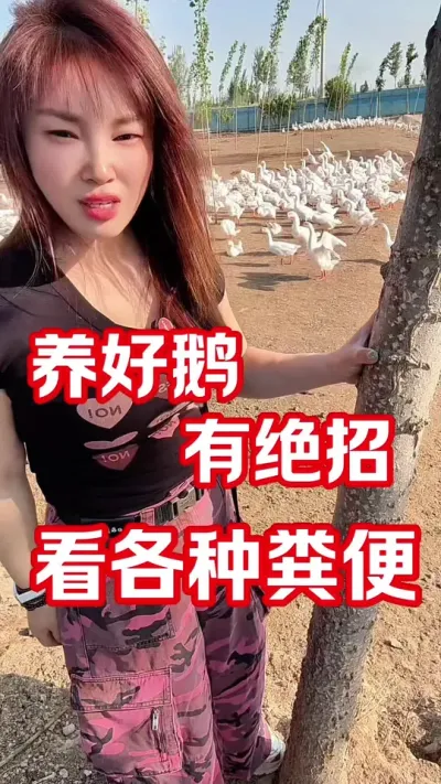 你会看粪便吗？鹅的各种粪便，代表的情况大不相同！#养鹅#养鹅人#养鹅技术分享 #狮头鹅