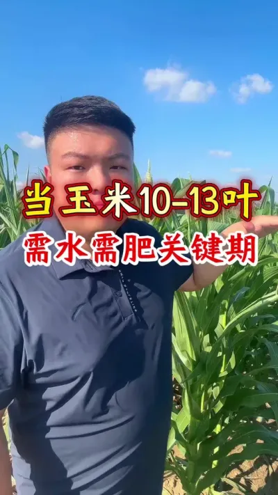 10-13ҶˮҪڣ٣ #ũҵݪֲ #׹ #ݪֲ #ݪֲС