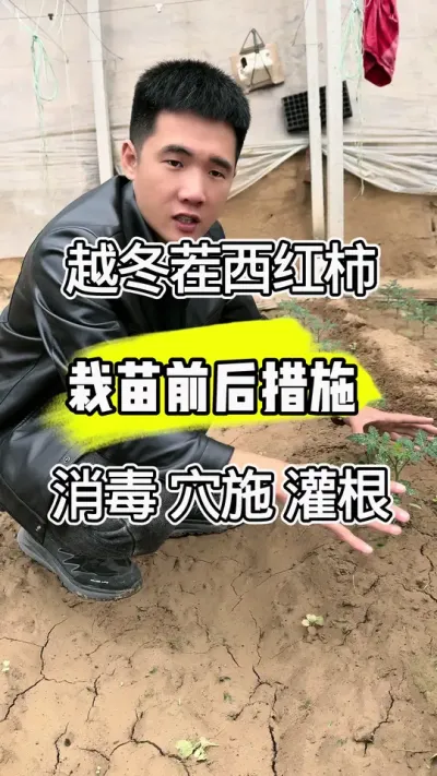 Խƻ #ũҵݪֲ #ũ #ũҵ֪ʶ #ݪֲ