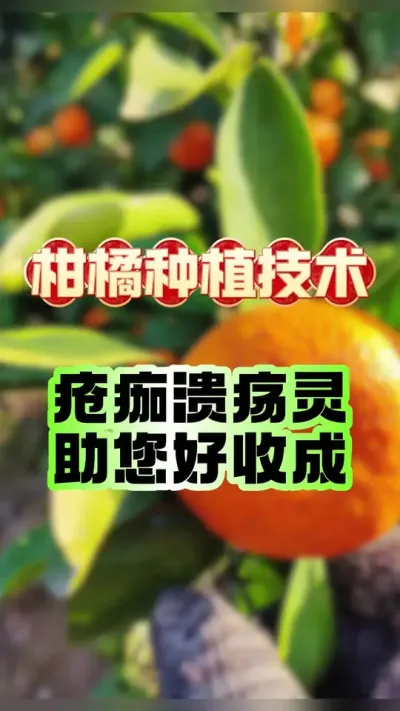 ׼ջ˹޲#ݪֲ # #ٲ #ٹ