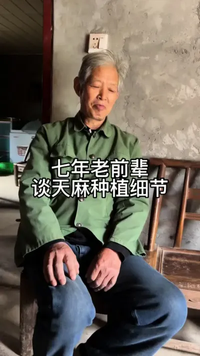 Ƚ̸ݪֲϸ #ݪֲ#շ ##ֱ@С