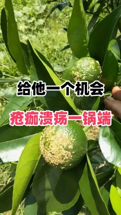 һһ#ݪֲ #ٹ #ٲ # #ũҵݪֲ