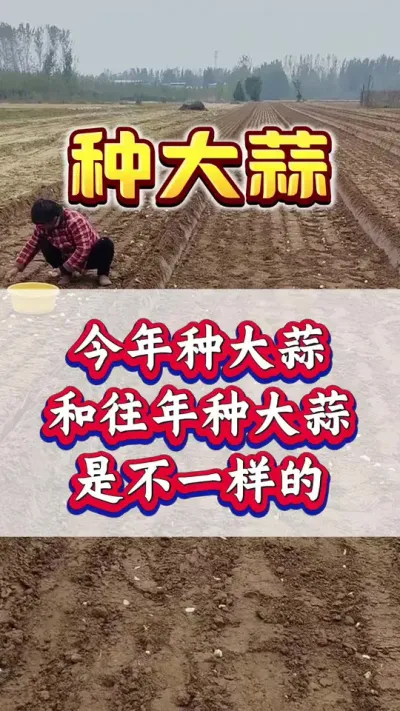 ִִǷ#ݪֲ #ִ #߲ #Ƥ #