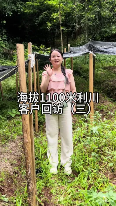 ����1100�������ͻ��طã����� �����Ӻ;��������ǺͿͻ�����٭�ĵ�һ��������һ��һֱרҵ������ݪֲ���߲��Ȳ����ո��˻�����Ӯ�������յ�Ŀ��#������ũ�� #������ũ #���շ��� @����С����