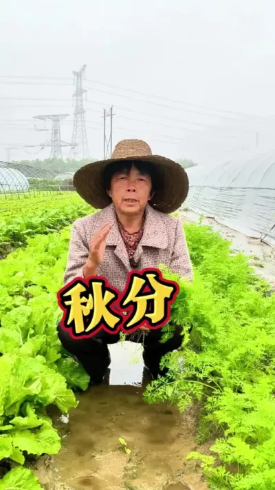 ºЩ߲#ʮĽ # #߲ #߲ݪֲ #ݪֲС @DOU+С @DOU+ @С