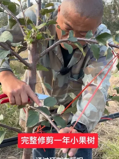 #ũ2025 #ũ#溦# #ݪֲ