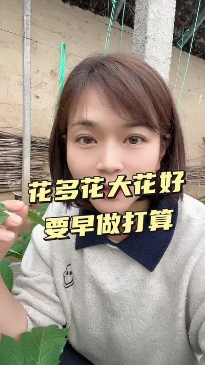 ##ݪֲ#󋠶#¼ҵݪֲ СƳµ@С