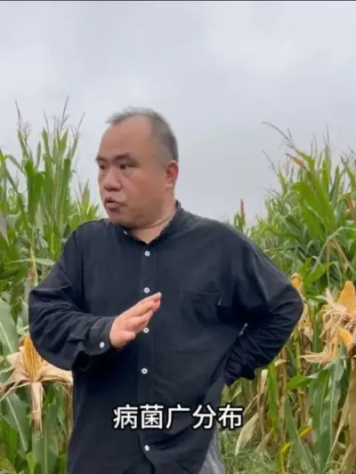 պ ȫ ɿĸȡǿ#ũݪֲ