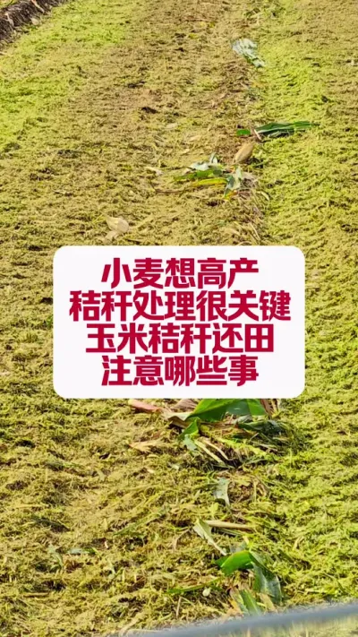 ׽ոѻô #ũҵݪֲ #ũũ #ũҵƹ #ũ