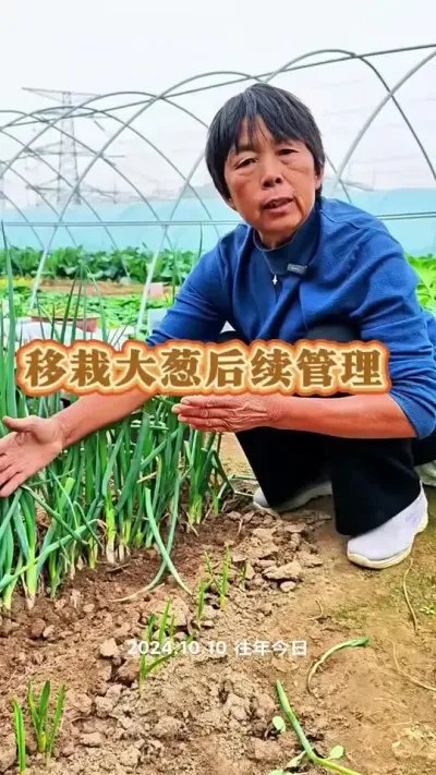 ԵĴг#ũ # #ݪֲС #߲ @С @DOU+ @DOU+С