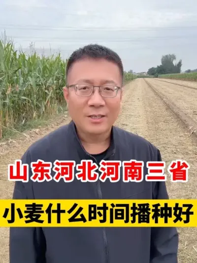 ɽϺӱʡСʲôʱ䲥ֺ #Сݪֲ #Сʱ #С #Сݪֲ #С߲