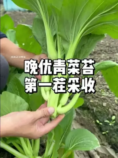 ̦յһִ̦׳ #ũ #ֲ