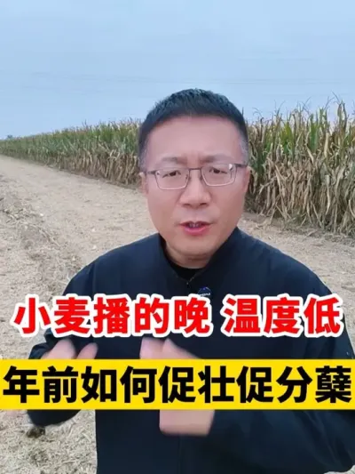 С󲥵¶ȱ껹ƫǰС #Сݪֲ #С߲ #С #С #С