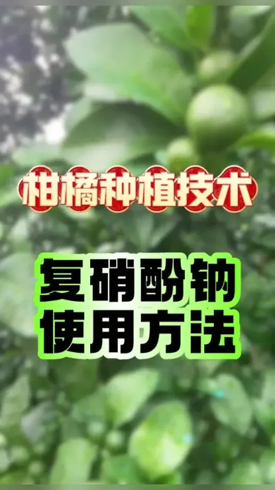 �������Ƶ�ʹ��Ҫ�� #����ݪֲ #�������� #���ٹ��� #��������� #������