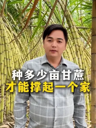 ּĶŻһ#ˮ # #ݪֲС #ũҵ֪ʶũ #ũ