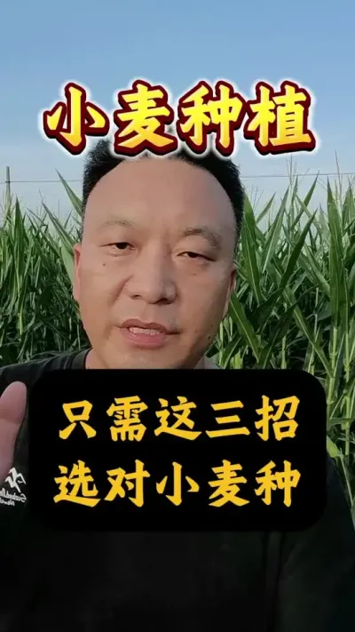 ֻѡС֣#Сݪֲ #С