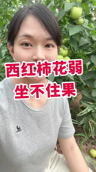 #ݪֲ##ס##¶ ٻײ@С