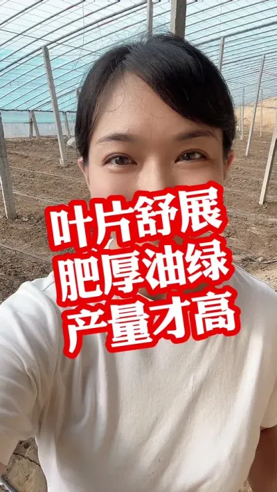 #ݪֲ#ҶҶ#Ҷ##Ҷ СƳ µ 9.9һƿ @С