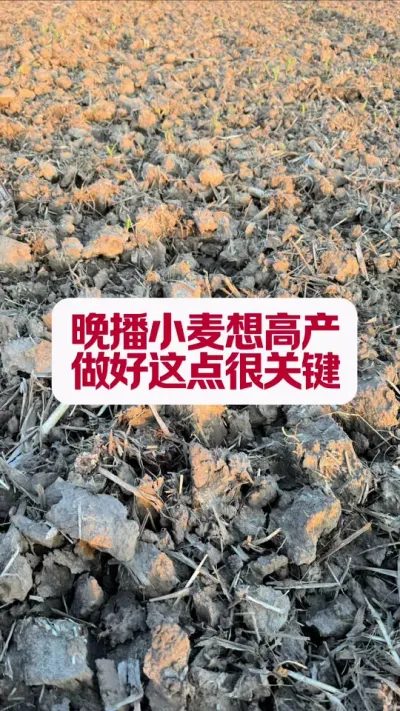 С߲Ҫ㣡 #ũҵݪֲ #ũҵݪֲ  #ݪֲС