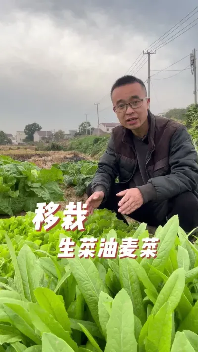 ô#ֲС #ͥݪֲ #ֲ #ѧֲ #ֲ̨