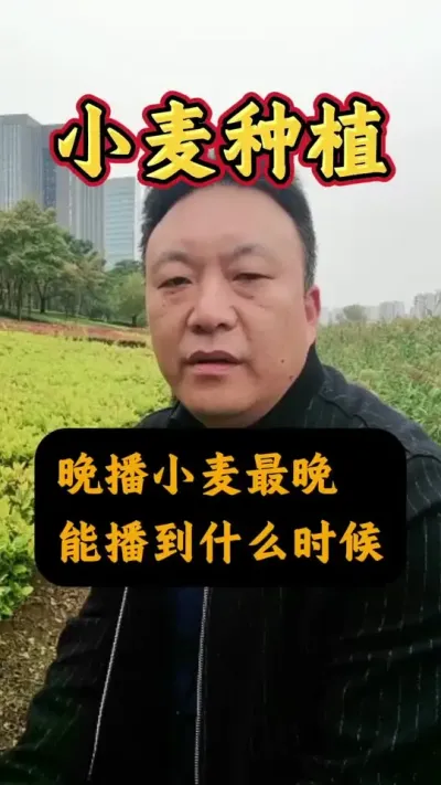 Сܲʲôʱ#Сݪֲ #С