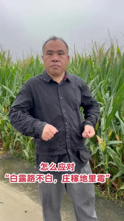 2025粻겻˳׻Ķ1500Ƶ̸ܽ