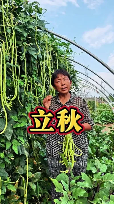 ʱֵԺЩ߲˿#ʮĽ # # #߲ #߲ݪֲ @DOU+ @DOU+С @С