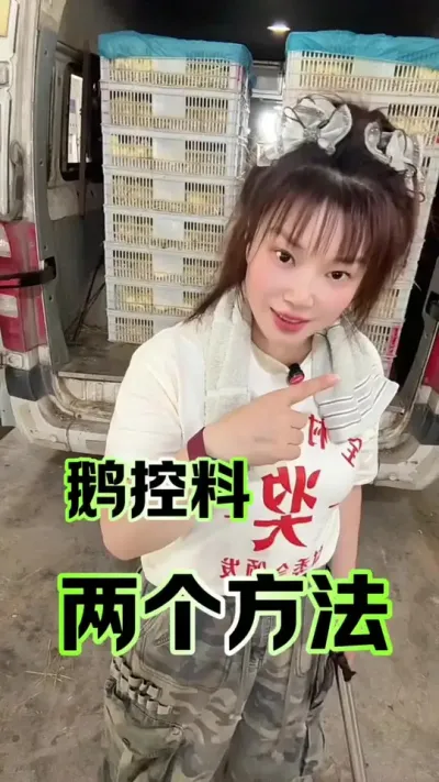 ������ϵ�����Ҫ��#������#�������շ��� #����